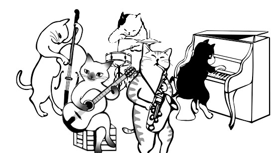 cat band